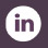 LinkedIn Social Icon