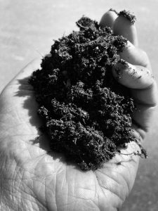 The Importance of Organizational Culture blog post - hand holding soil
