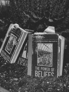The Power of Beliefs books in soil