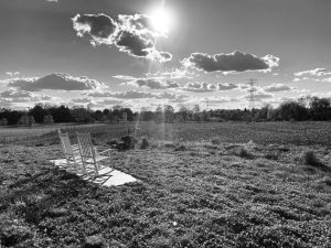 Two chairs looking out to a field on a sunny day